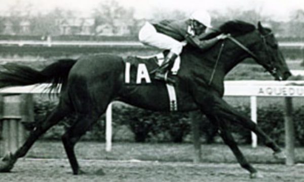 Dr. Fager